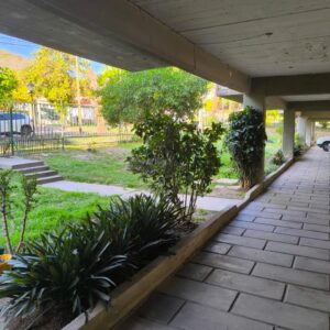 Alquiler - Departamento - Barrio Tres Cerritos - Esquina Eucaliptus y Av. del Golf. 1er Piso por escalera